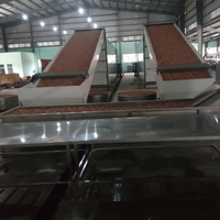 Secador de Aire Caliente Continuo BAIXIN, Secador de Avellanas