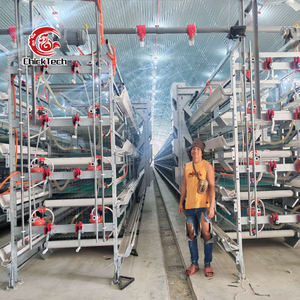 Solutions personnalisées d'élevage de poulets de chair : Équipement de cages en batterie pour poulets de chair, <span class=keywords><strong>type</strong></span> H, avec mangeoire et abreuvoir automatiques à 3 niveaux, pour 50 000 poulets - Product Image 4