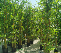 Bâtons de bambou synthétiques en Pvc, 1 mètre, plantes artificielles, arbre avec feuilles de bambou artificielles