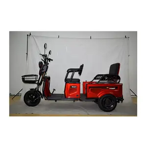 Hochwertiges Haushaltsfahrzeug Elektro-Dreirad Mini-Dreirad Elektrofahrzeug mit Kabine