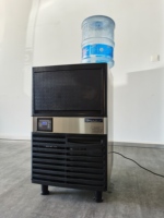 Mini Machine à glace Portable pour le travail, avec distributeur d'eau, pour la maison, processeur de neige, blocs, puces, flocon, 80kg,