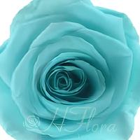 Têtes de roses éternelles en gros, personnalisées et conservées, pour mariages, remises de diplômes, Noël, Thanksgiving, Pâques, roses éternelles