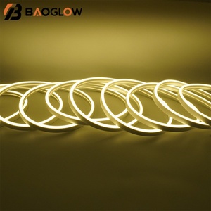 ไฟ LED แถบสีขาว น้ำเงิน เขียว ส้ม แดง หลายสี 220V 120LEDs/เมตร สำหรับไฟกระจก ตกแต่งห้อง ไฟ LED แบบยืดหยุ่น - Product Image 6