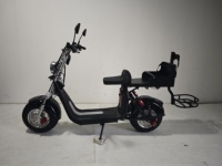 Scooter électrique de golf intelligent Loyal Citycoco, pliable, étanche, 2 places, 2000W/3000W, autonomie 60-100 km