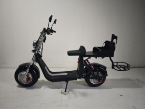 Scooter électrique de <span class=keywords><strong>golf</strong></span> intelligent Loyal Citycoco, pliable, étanche, 2 places, 2000W/3000W, autonomie 60-100 km - Product Image 3