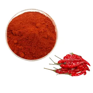 Vendita calda polvere di semi di Paprika peperoncino in polvere peperoncino rosso in polvere