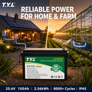 Batterie au lithium 100Ah 25,6V 2,56kWh au phosphate de fer rechargeable avec borne M8 pour utilisation en camping-car, marine, chariot de golf et système de panneaux solaires - Product Image 3
