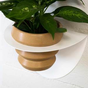 Fioriera da Parete Bergen in Metallo, Acciaio Verniciato a Polvere Opaca, per Interni ed Esterni, Stile Moderno Industriale - Product Image 3