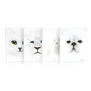 PIGNA - AGENDA 12 MESI MONOCROMATICA BIANCA 13X18 CM ASSORTITA - Product Image 1