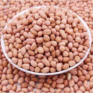 Sejumlah besar biji-bijian kacang mentah berkualitas tinggi diekspor, dan bahan mentah segar