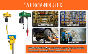 Polipasto Eléctrico de Cadena ALLMAN de 1 Tonelada, Construcción de Acero, Uso en Almacenes, Precio de Fábrica, Cabrestante Eléctrico de Cadena de 1 Tonelada - Product Image 2