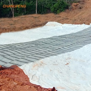 CE đánh dấu 25KN 35KN unidirection nhựa HDPE <span class=keywords><strong>geogrid</strong></span> để giữ lại tường dốc bảo vệ và gia cố - Product Image 3