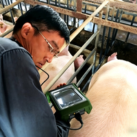 Dispositivo de Diagnóstico por Ultrasonido, Máquina de Sonografía, Sistema de Imagenología para Ovejas, Cabras y Cerdos, Control de Fertilidad, Detección Temprana de Gestación