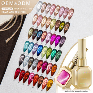 Kit de vernis gel longue tenue effet œil de <span class=keywords><strong>chat</strong></span> et couleurs pures, UV LED, à retirer par trempage, <span class=keywords><strong>pour</strong></span> salon, maison, DIY, logo personnalisé, <span class=keywords><strong>prix</strong></span> usine - Product Image 1