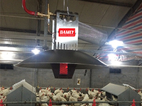 Nouveau chauffage infrarouge automatique GOLDENEST pour volailles, poules et poussins, haute qualité, garantie 5 ans et plus