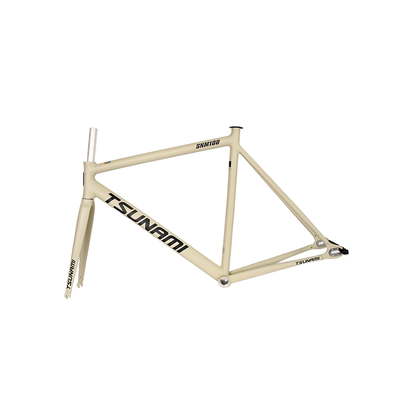 OEM 700C Full Color Hardtail Carbon Bicycle Frame Racing Field