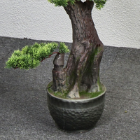 Usine source, 100% fait main, cèdre, personnalisation OEM&ODM, Podocarpus, grand bonsaï artificiel en pin pour l'extérieur et l'intérieur