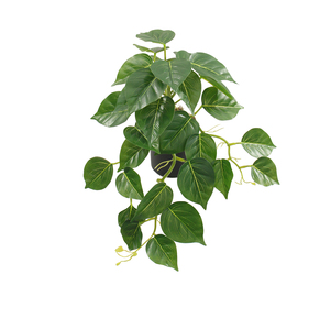 Nouveau design Vente à chaud Petites mini plantes artificielles suspendues Faux plantes artificielles Monstera Taro Bonsaï - Product Image 5