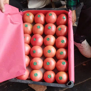 Gifts for Women Christmas: Fresh Fruity Picks She’ll Love