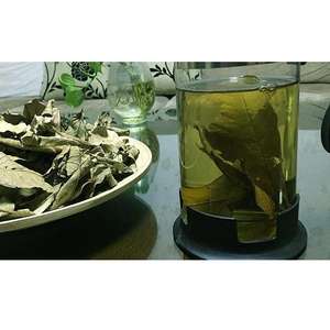 Высокое качество, оптовая продажа, новые высушенные натуральные листья псидия гуахава, не экстракт для продажи - Product Image 4