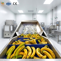 Complete set fruit- en groentewas- en droogmachines voor diepgaande landbouwverwerking