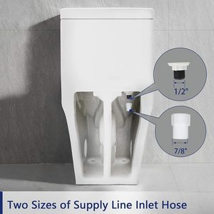 Vente en gros de cuvette de toilette blanche de haute qualité à compostage à sec d'une seule pièce - Product Image 3