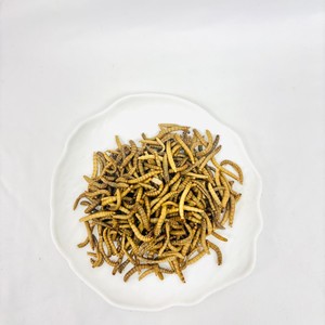 Alimento <span class=keywords><strong>para</strong></span> <span class=keywords><strong>Mascotas</strong></span> a Base <span class=keywords><strong>de</strong></span> Proteína <span class=keywords><strong>de</strong></span> Gusanos <span class=keywords><strong>de</strong></span> la Harina, Envasado al Vacío, Fácil <span class=keywords><strong>de</strong></span> Almacenar y Conservar - Product Image 1