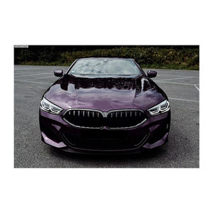 แผ่นฟิล์มไวนิลเคลือบเงาสำหรับสัตว์เลี้ยงสีฟ้าใสสีเหลืองสีฟ้าสีแดงสีดำสีม่วงป้องกัน PPF - Product Image 6