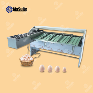 Phân loại trứng & máy đóng gói và tốc độ, độ chính xác và tích hợp liền mạch - Product Image 1