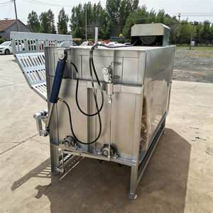 Nueva Máquina Desplumadora de Cerdos de Acero Inoxidable, Totalmente Automática e Integrada, con Escaldado y Desplumado, Elevación Hidráulica Inteligente y Constante - Product Image 6