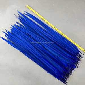 Plumas <span class=keywords><strong>de</strong></span> Faisán <span class=keywords><strong>de</strong></span> 60-65 cm <span class=keywords><strong>de</strong></span> Largo, Teñidas <span class=keywords><strong>de</strong></span> Azul Real, Plumas <span class=keywords><strong>de</strong></span> Cola <span class=keywords><strong>de</strong></span> Faisán Anillado, Plumas <span class=keywords><strong>de</strong></span> Faisán en <span class=keywords><strong>Venta</strong></span>, Disfraz <span class=keywords><strong>de</strong></span> Carnaval Sexy - Product Image 2