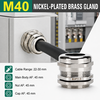 Presse-étoupe en laiton M40 étanche IP68, connecteur de câble nickelé pour câble électrique de 22-30 mm, presse-étoupe en laiton M40