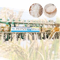 Vente chaude : Moulin à riz automatique complet moderne de haute qualité 50 TPD, machine de décorticage de riz, à vendre