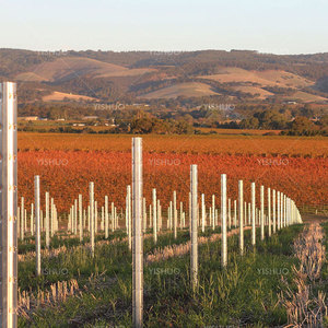 Poteau de treillis de vignoble en acier galvanisé avec poteau d'extrémité pour vignoble - Product Image 4