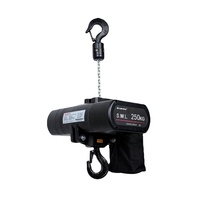 Palans électriques de scène 250 kg, moteurs à chaîne pour treillis, étanches IP66, palans électriques à chaîne auto-grimpants pour scène