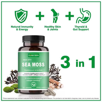 Capsules de mousse de mer avec complexe d'algues et de bardane pour le soutien des articulations, la santé de la peau, l'immunité, formule riche en minéraux