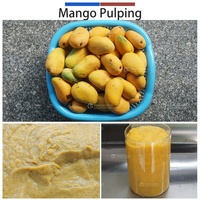 0,5-1t RVS 304 Fruitklopper/Pulpmachine met motor voor hoge productiviteit mango, pruim, sinaasappel, banaan puree & jam