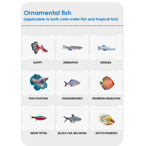 Venta Caliente de Alimento <span class=keywords><strong>para</strong></span> Peces Guppy, OEM y ODM - Product Image 4