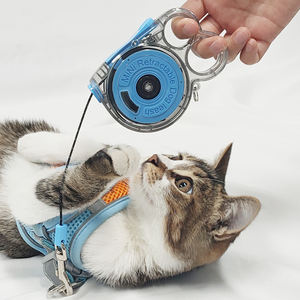 Juego de correas para perros y gatos a la moda, Mini correas para mascotas hechas a medida, estilo de moda, colección de hierro de plástico de nailon duradero, accesorios para gatos - Product Image 1