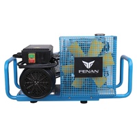 Chine Offre Spéciale compresseur d'air à Piston Portable haute pression Scba 4500 Psi 300Bar