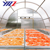 Séchoir solaire à fruits haute efficacité, déshydrateur solaire pour fruits, machine de séchage à vendre