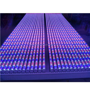 <span class=keywords><strong>Jardin</strong></span> <span class=keywords><strong>intérieur</strong></span> plantation rouge bleu <span class=keywords><strong>LED</strong></span> lampe serre hydroponique <span class=keywords><strong>led</strong></span> croissance lumière - Product Image 2