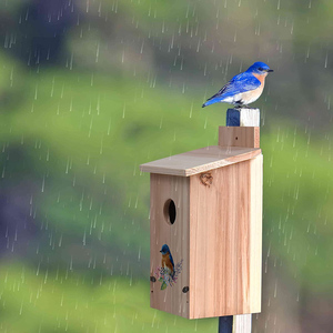 Weerbestendig Vogel Huis Met Out Deur En <span class=keywords><strong>Predator</strong></span> Guard Voor Buitenshuis Opknoping - Product Image 5