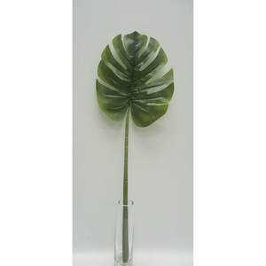 PHILO X24 LVS RT POT 45CM GR - Product Image 1