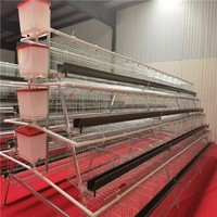 Jaula de acero automática de 4 niveles para gallinas ponedoras de 120, 128 y 160 aves, para granjas avícolas