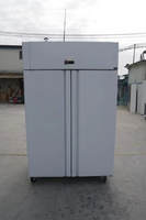 Guangzhou usine industrie GN2/1 double porte solide refroidisseur vertical pour restaurant