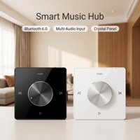 Amplificateurs audio muraux miniatures Zhiku 86 pour panneau de commande de musique TF AUX, haut-parleurs de plafond stéréo, contrôleur de cinéma maison