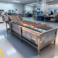 Automatische Fruitgroente Wasmachine & Salade Productielijn-Voedselverwerkende Machines