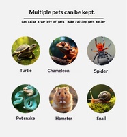 Boîte à reptiles transparente en plastique PP, cage d'alimentation portable, terrarium pour dragon barbu, gecko léopard, serpent, araignée, habitat