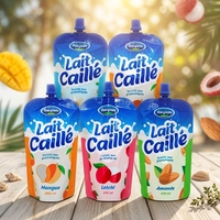 Sachets Doypack personnalisables avec bec verseur, qualité alimentaire, pour jus de noix de coco, jus de litchi et autres jus de fruits mélangés